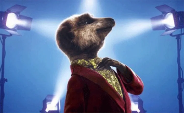 Meerkat Movie