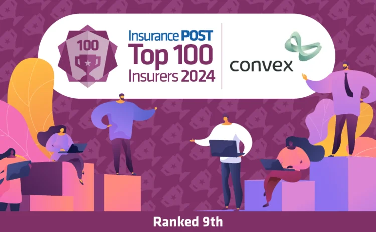 Top 100 2024 Convex